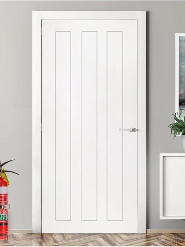 fire door with irish paneling